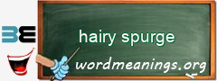 WordMeaning blackboard for hairy spurge